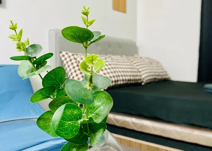 Plumera Near Airport Malls & Schools With Elevator Apartment *